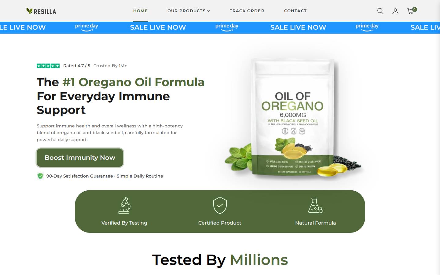 Resilla homepage screenshot
