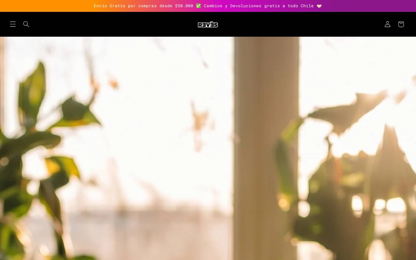reveschile.cl homepage screenshot