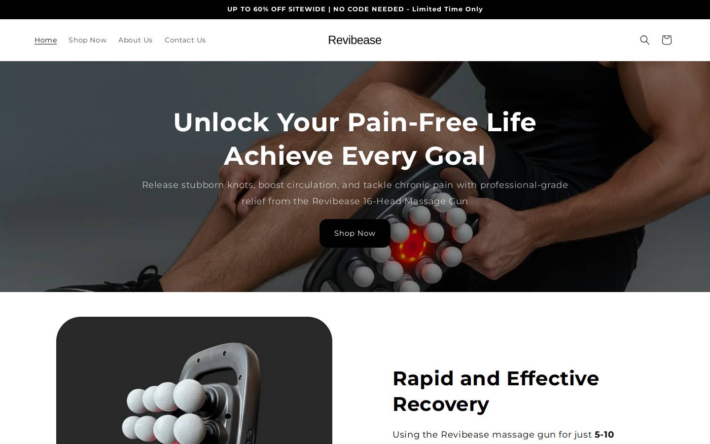 revibease.com homepage screenshot