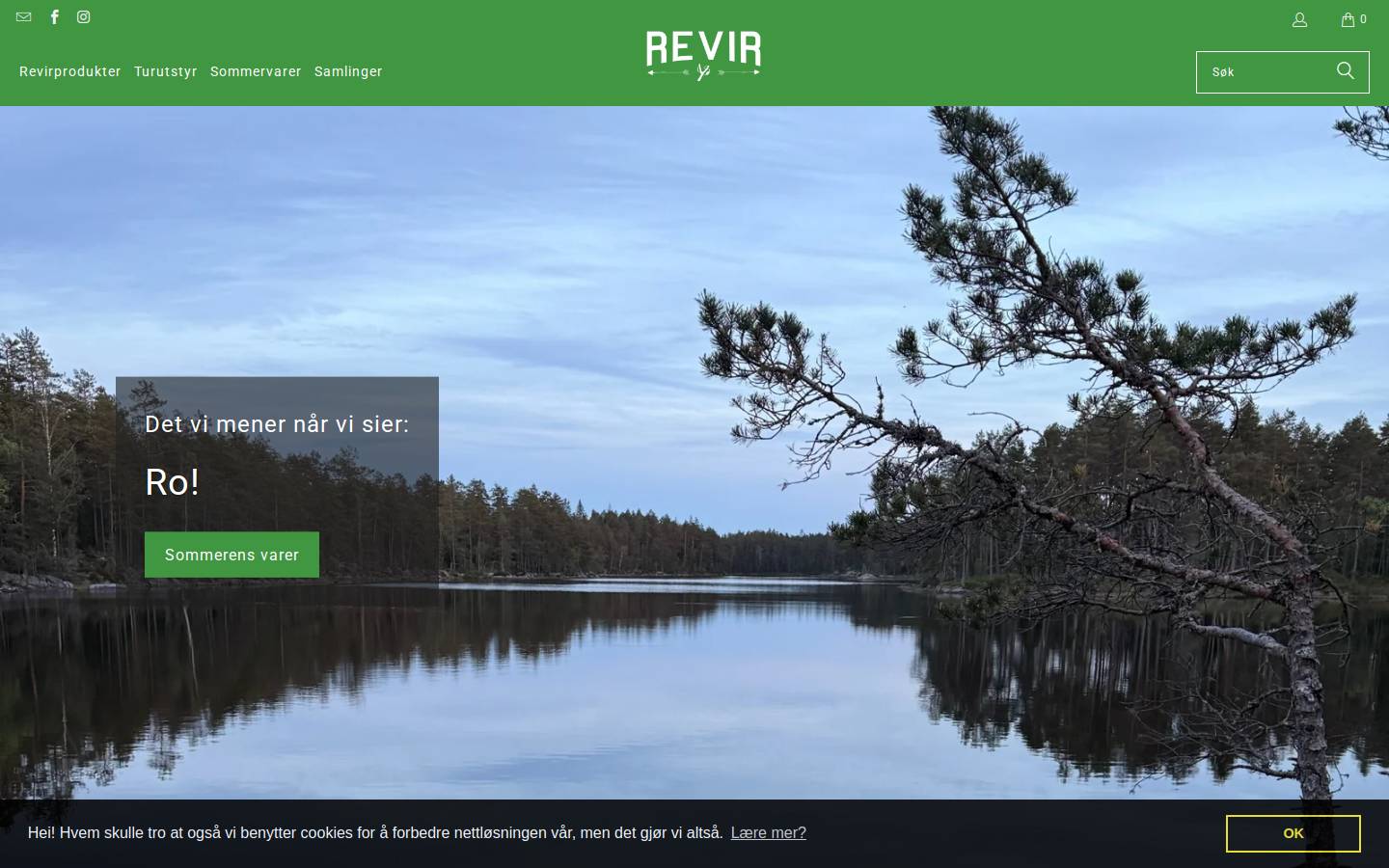 Revir Oslo homepage screenshot