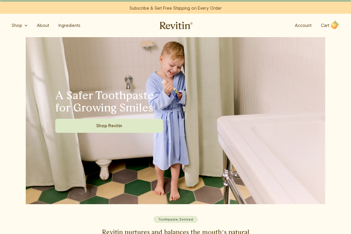 Revitin homepage screenshot