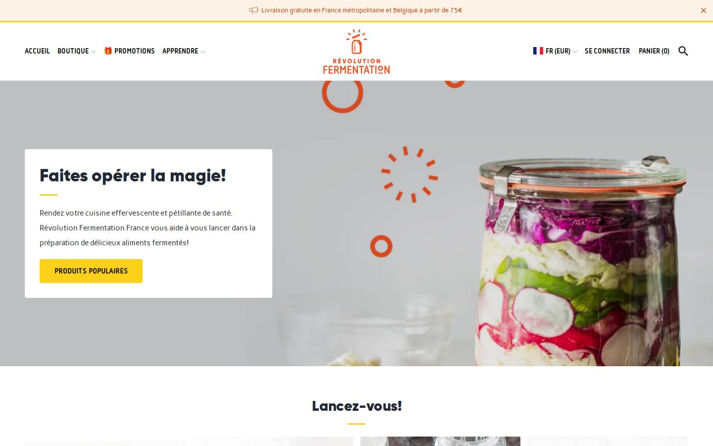 revolutionfermentation.fr homepage screenshot