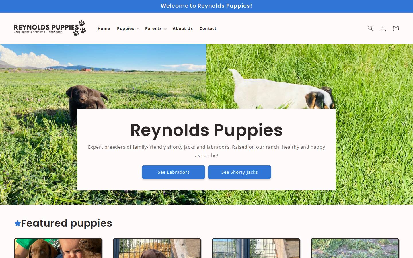 reynolds-jackrussells.com homepage screenshot