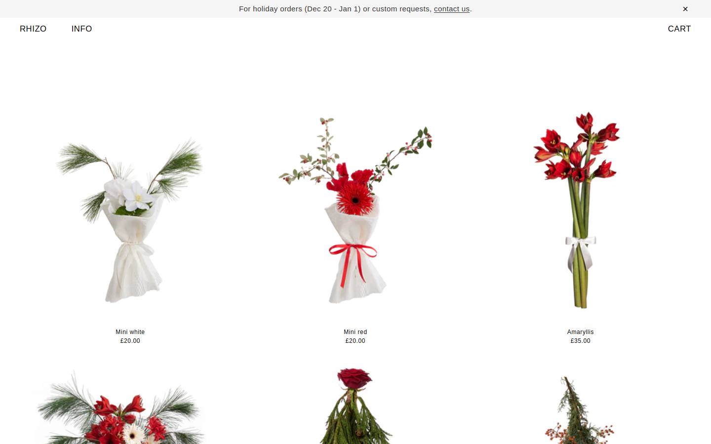 rhizo.online homepage screenshot