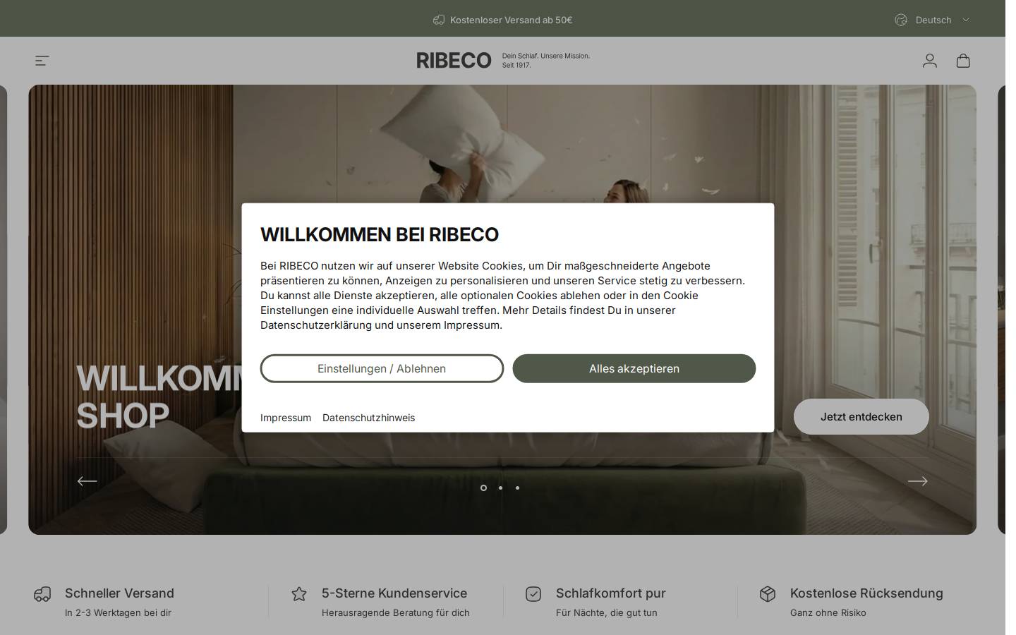 RIBECO homepage screenshot