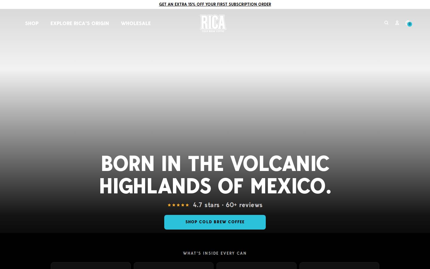 ricacoldbrew.com homepage screenshot