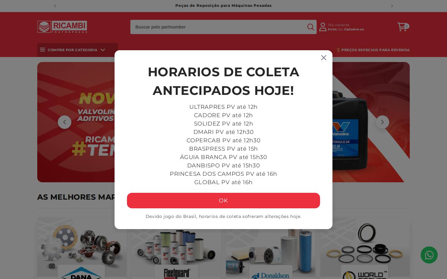 ricambi.com.br homepage screenshot
