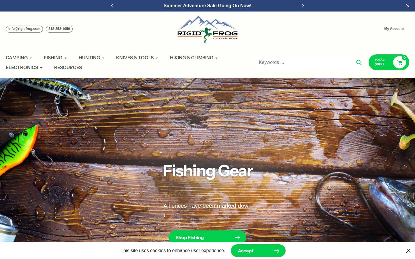 rigidfrog.com homepage screenshot