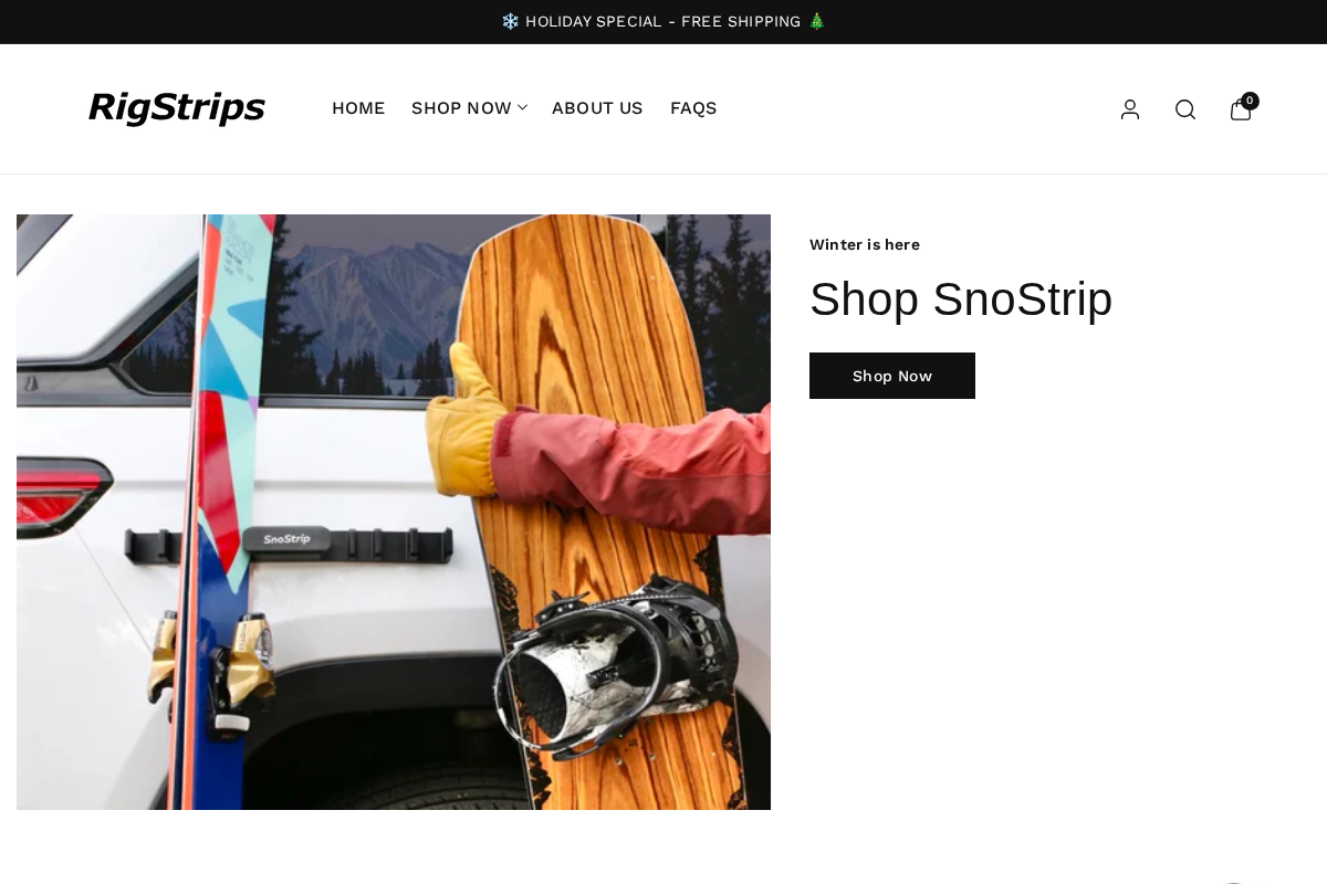 RigStrips homepage screenshot