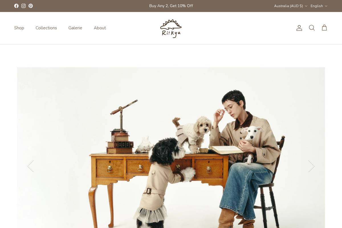 riikyu.com homepage screenshot