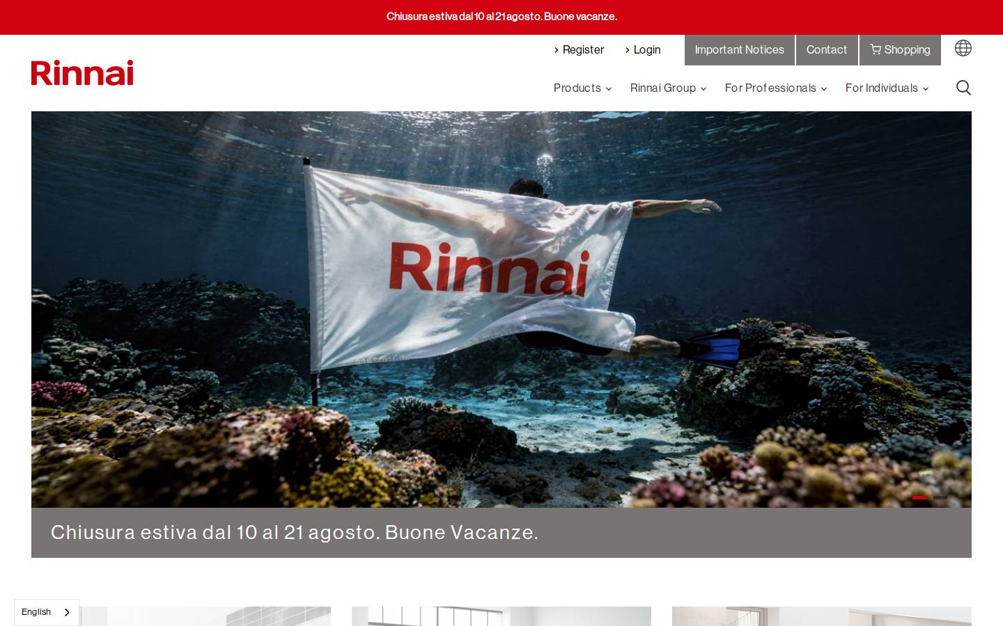 Rinnai homepage screenshot