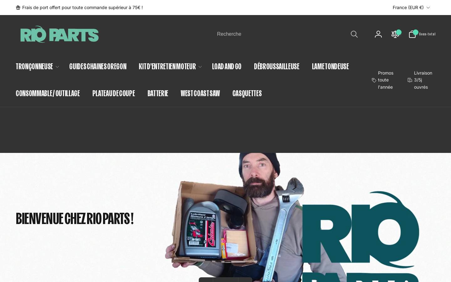 Rio Parts homepage screenshot
