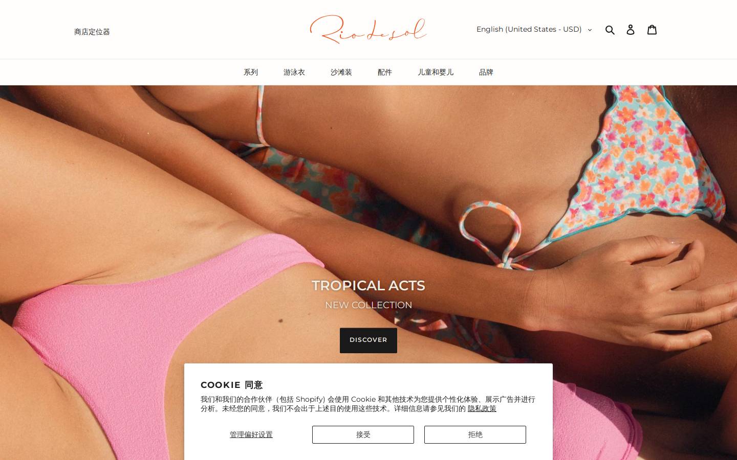 Rio de Sol homepage screenshot