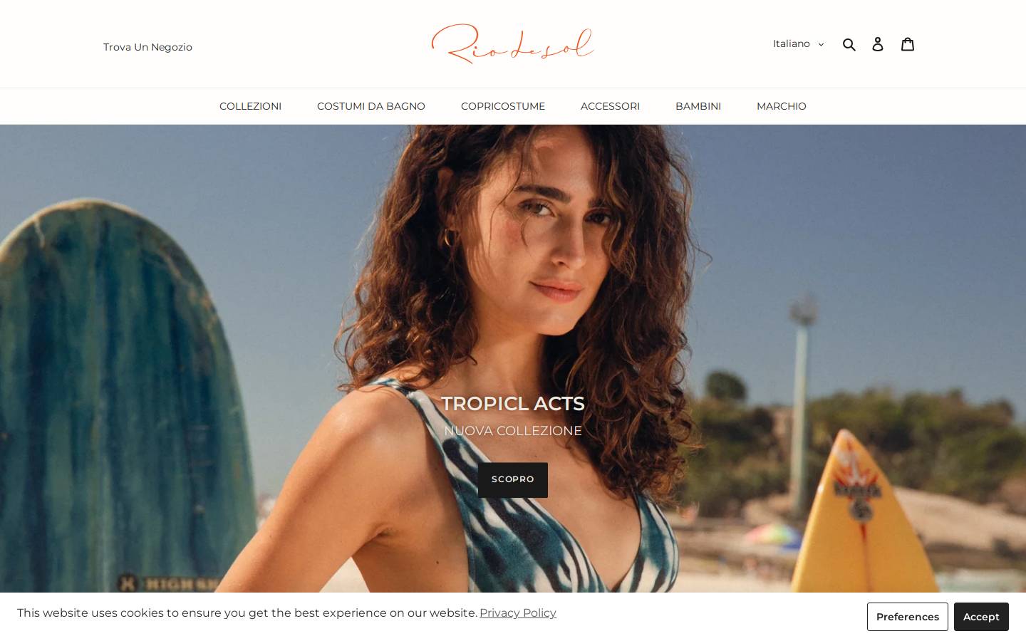 Rio de Sol homepage screenshot