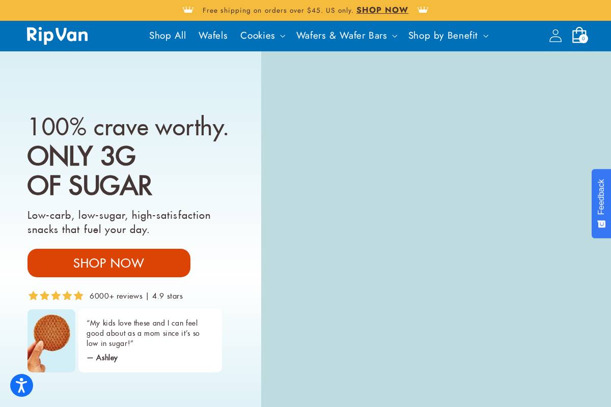 ripvan.com homepage screenshot