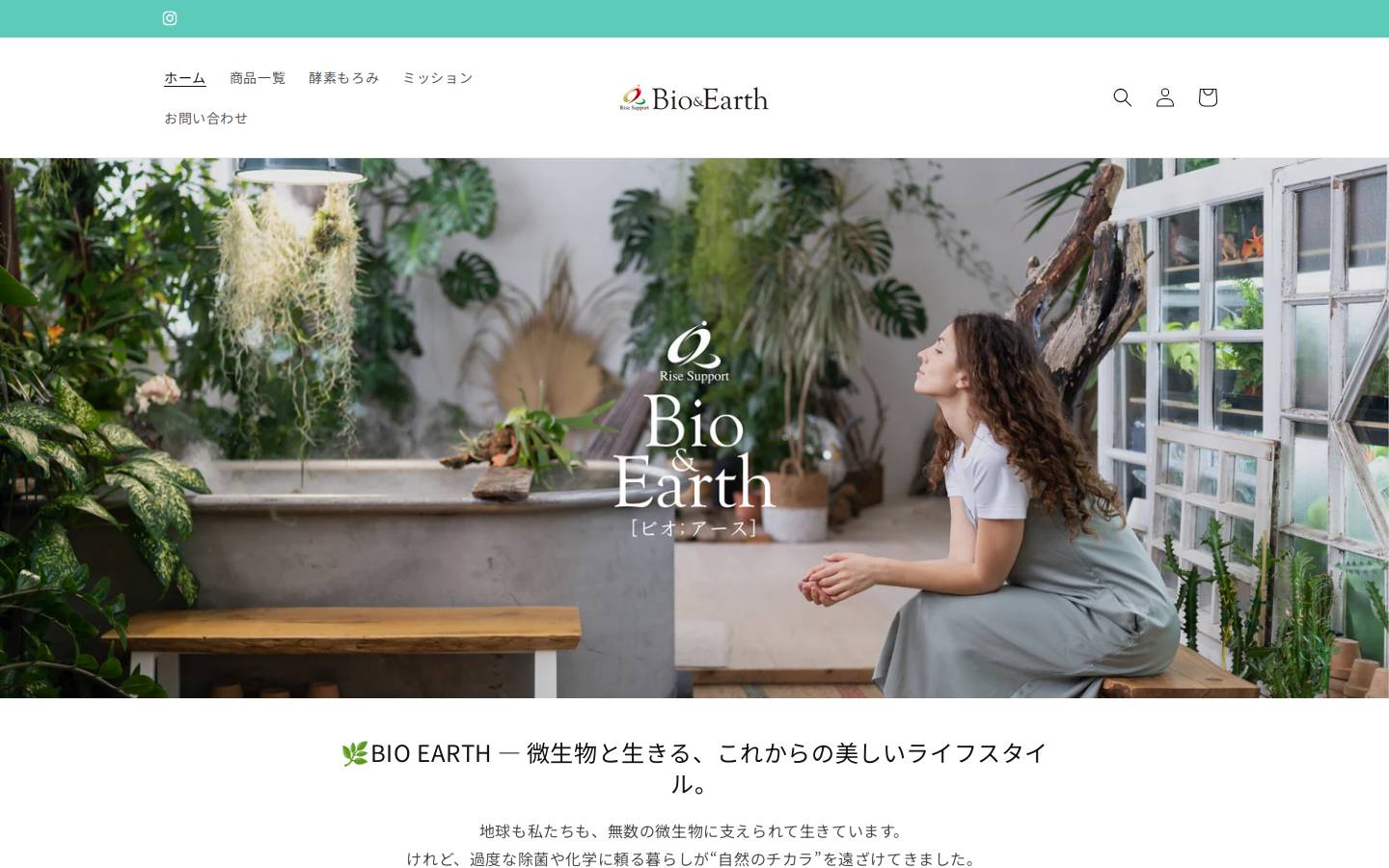 risesupport.jp homepage screenshot