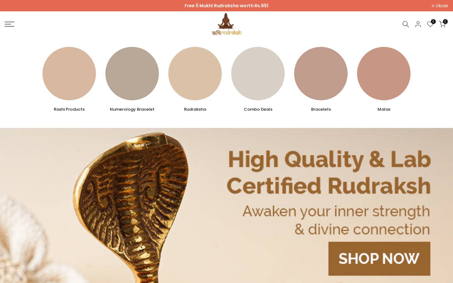 rishirudraksh.com homepage screenshot