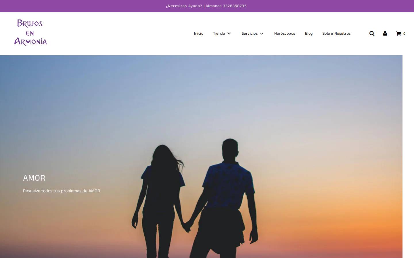 rivasteam.com.mx homepage screenshot