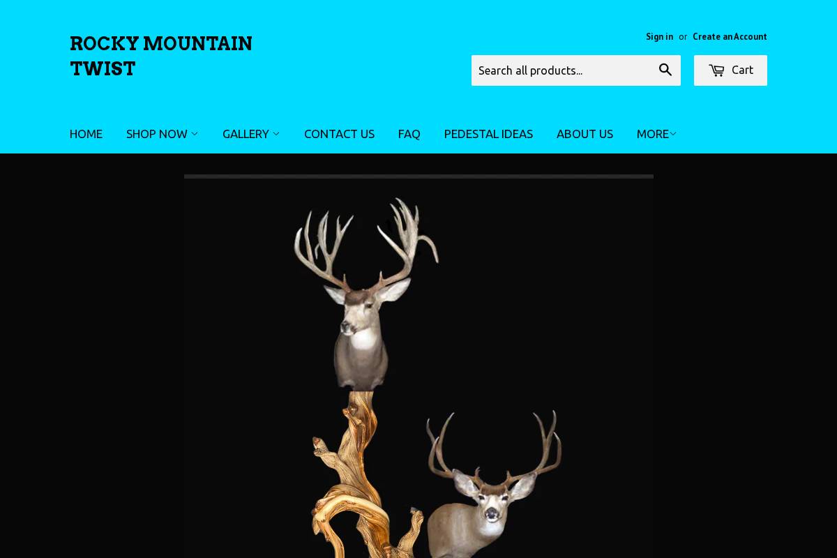 rmtwist.com homepage screenshot