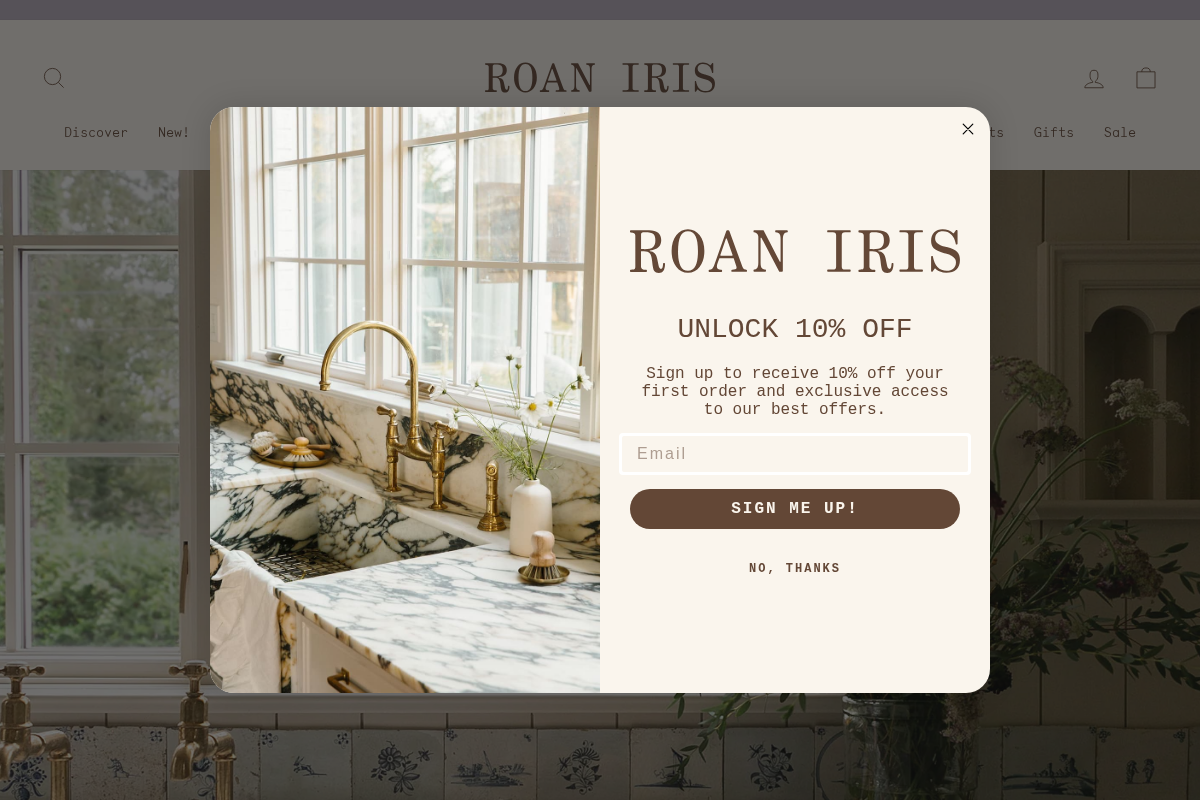 roaniris.co homepage screenshot