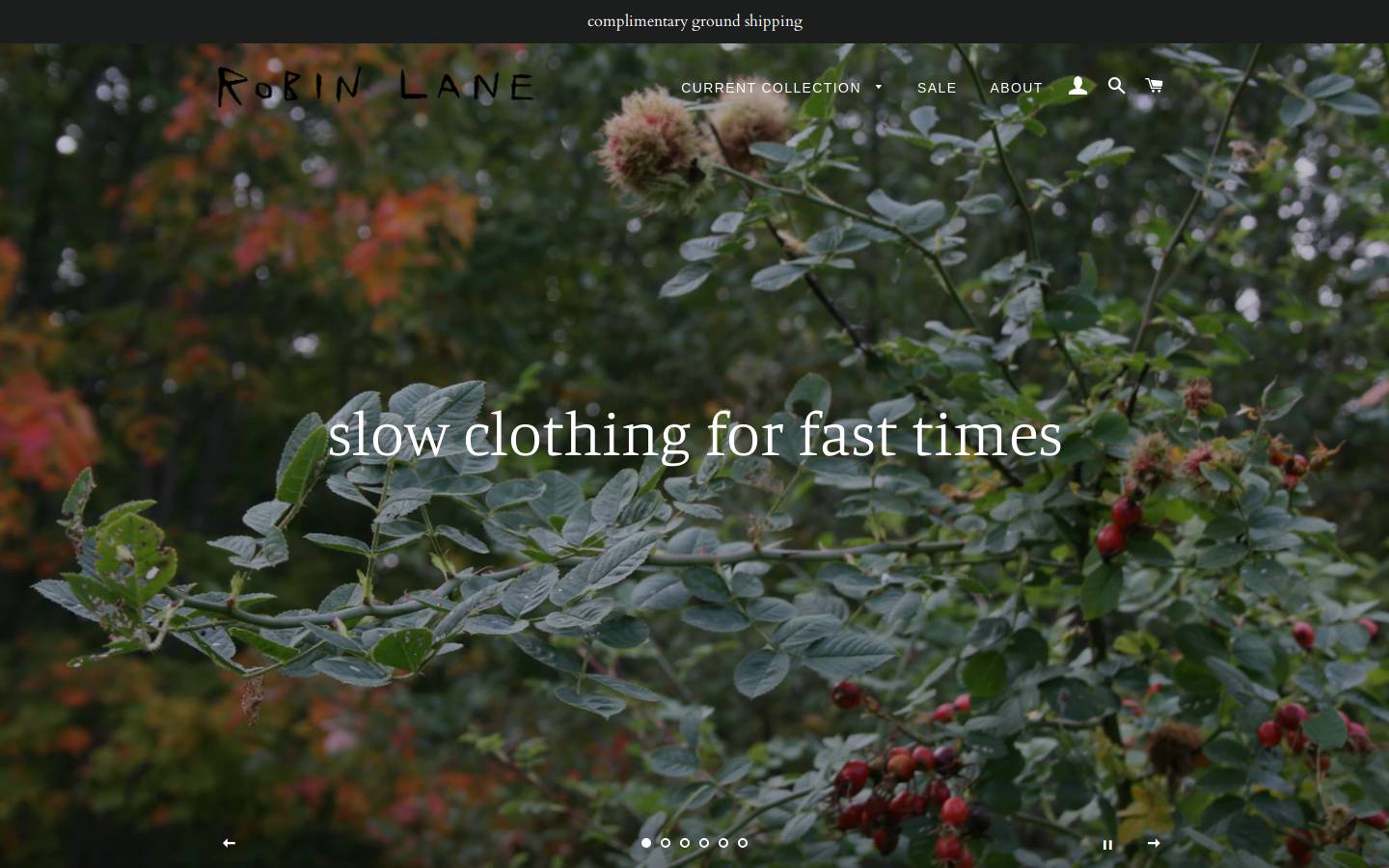 robinlaneclothing.com homepage screenshot
