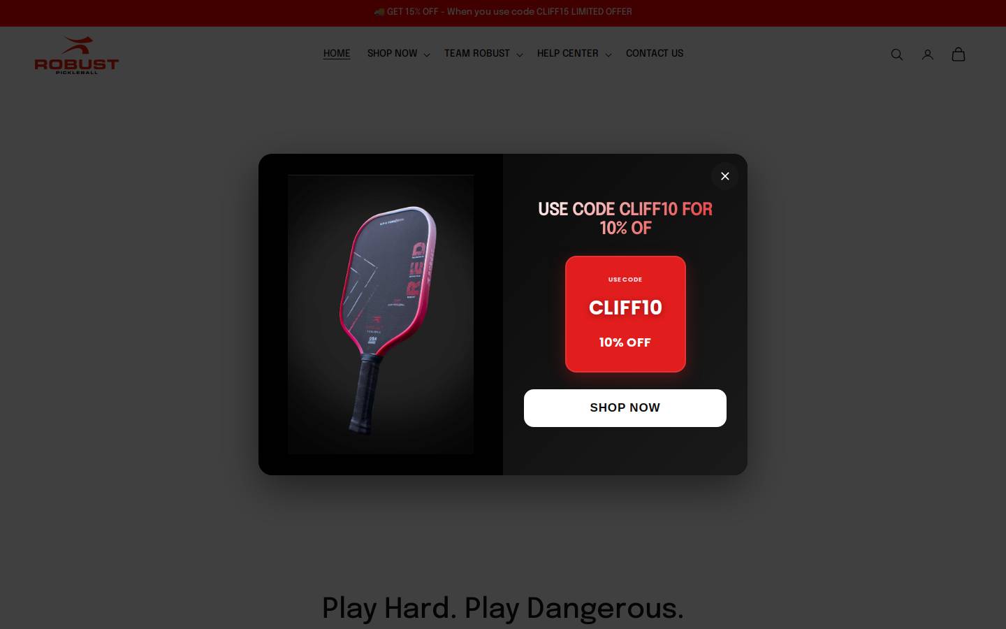robustpickleball.com homepage screenshot
