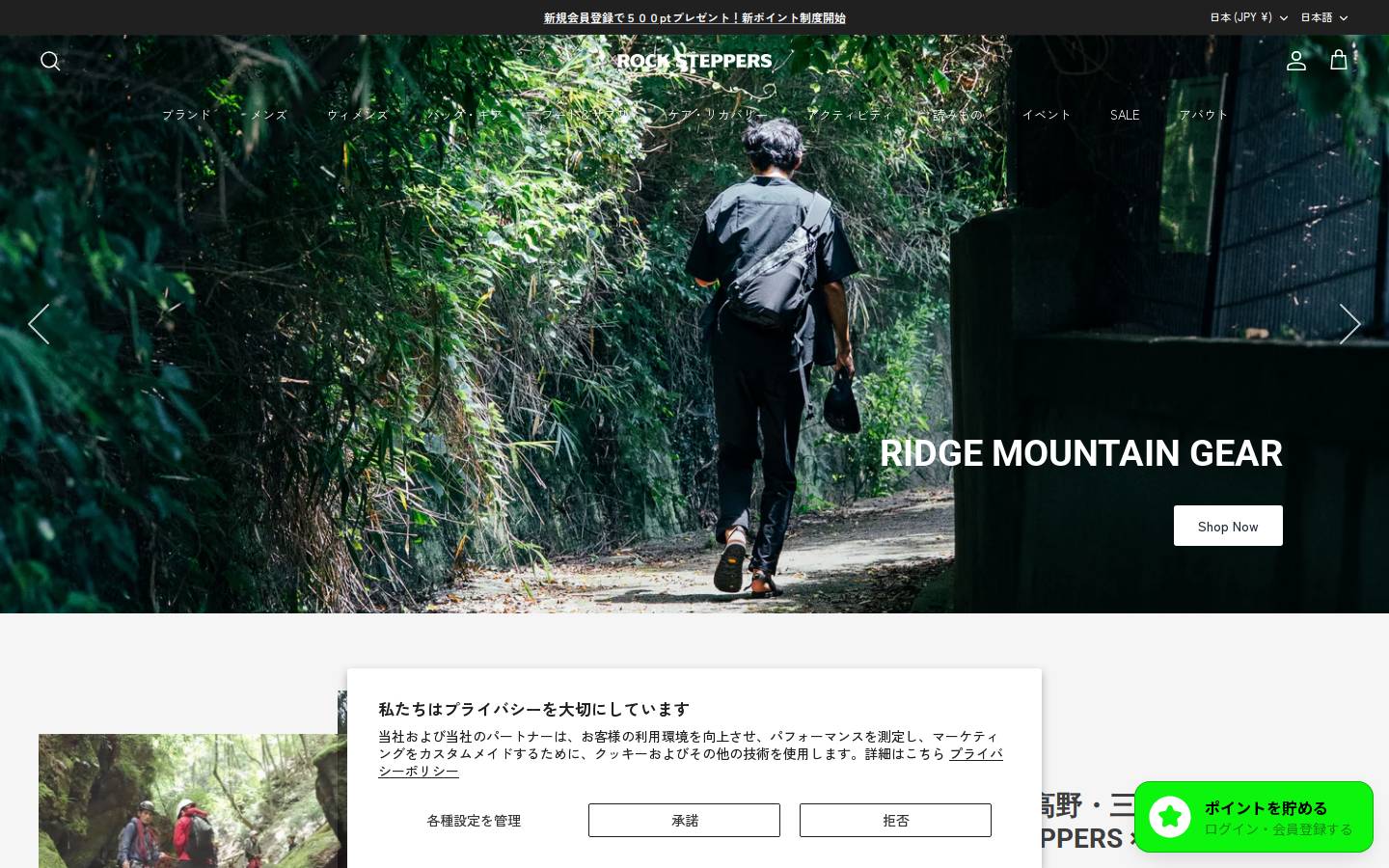 rocksteppers.com homepage screenshot