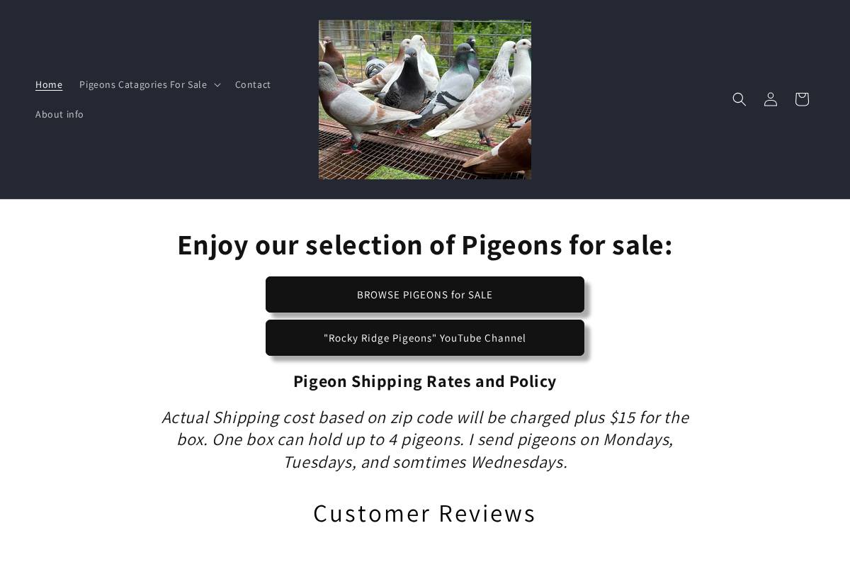 rockyridgepigeons.com homepage screenshot