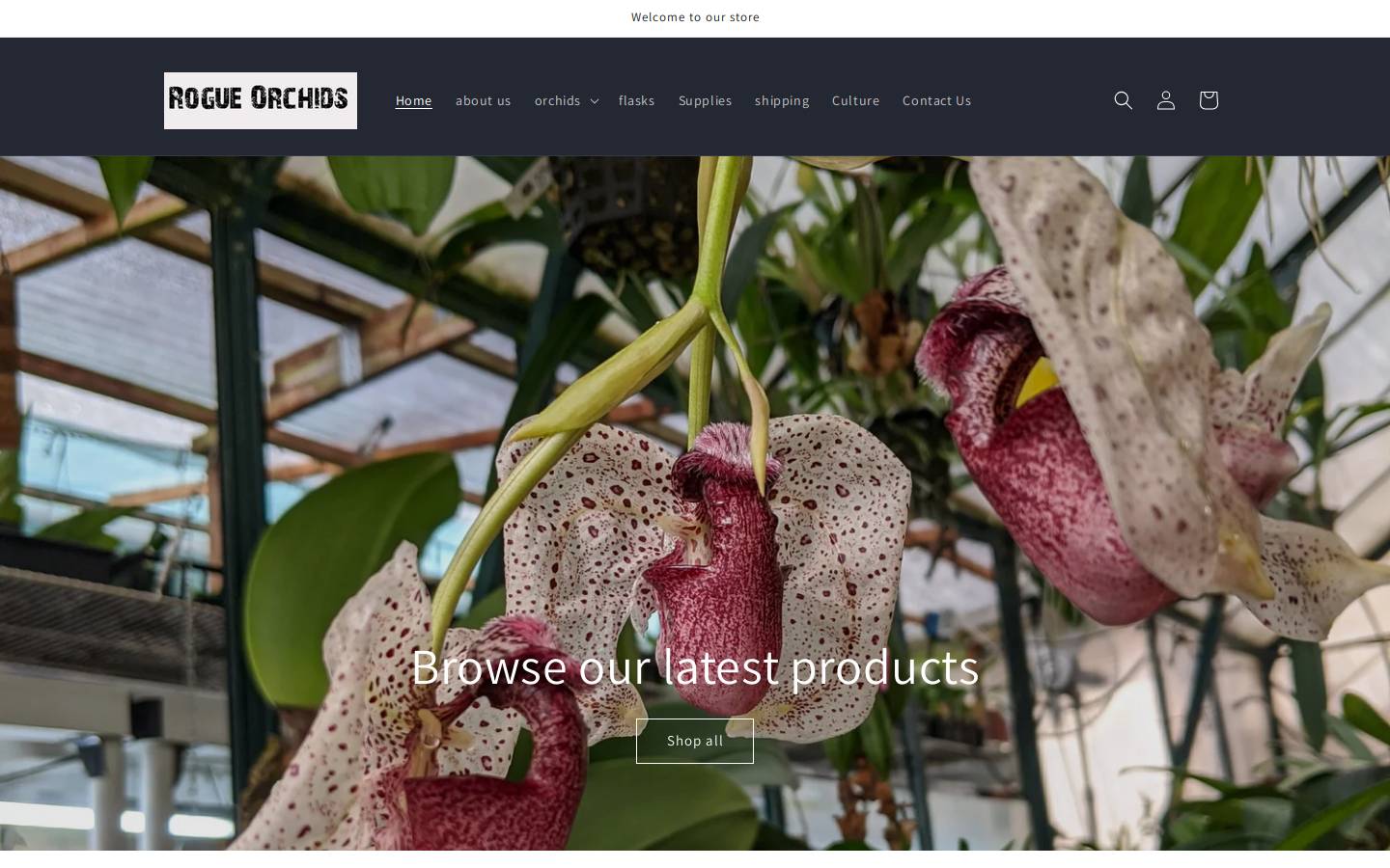 rogueorchids.com homepage screenshot