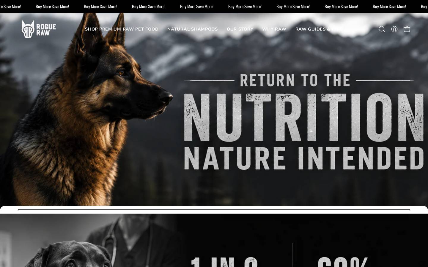 RogueRaw homepage screenshot
