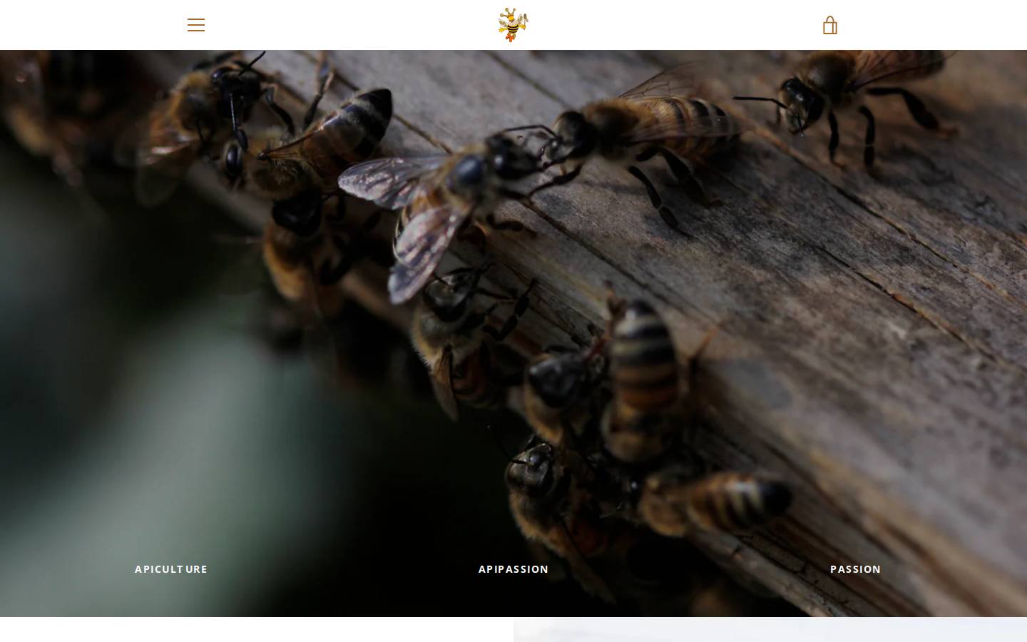 roibourdon.ca homepage screenshot