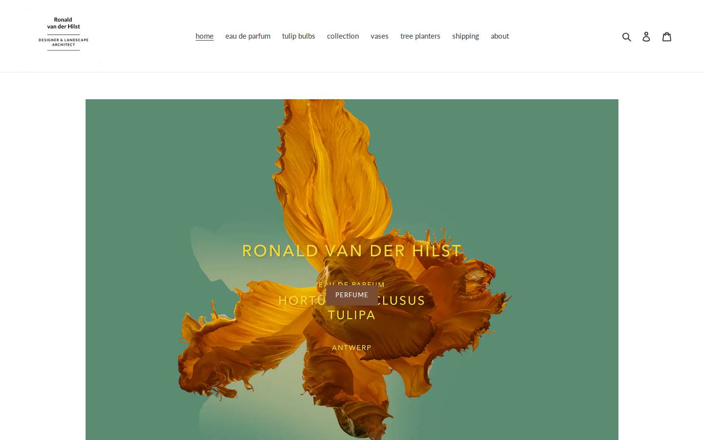 ronaldvanderhilstshop.com homepage screenshot