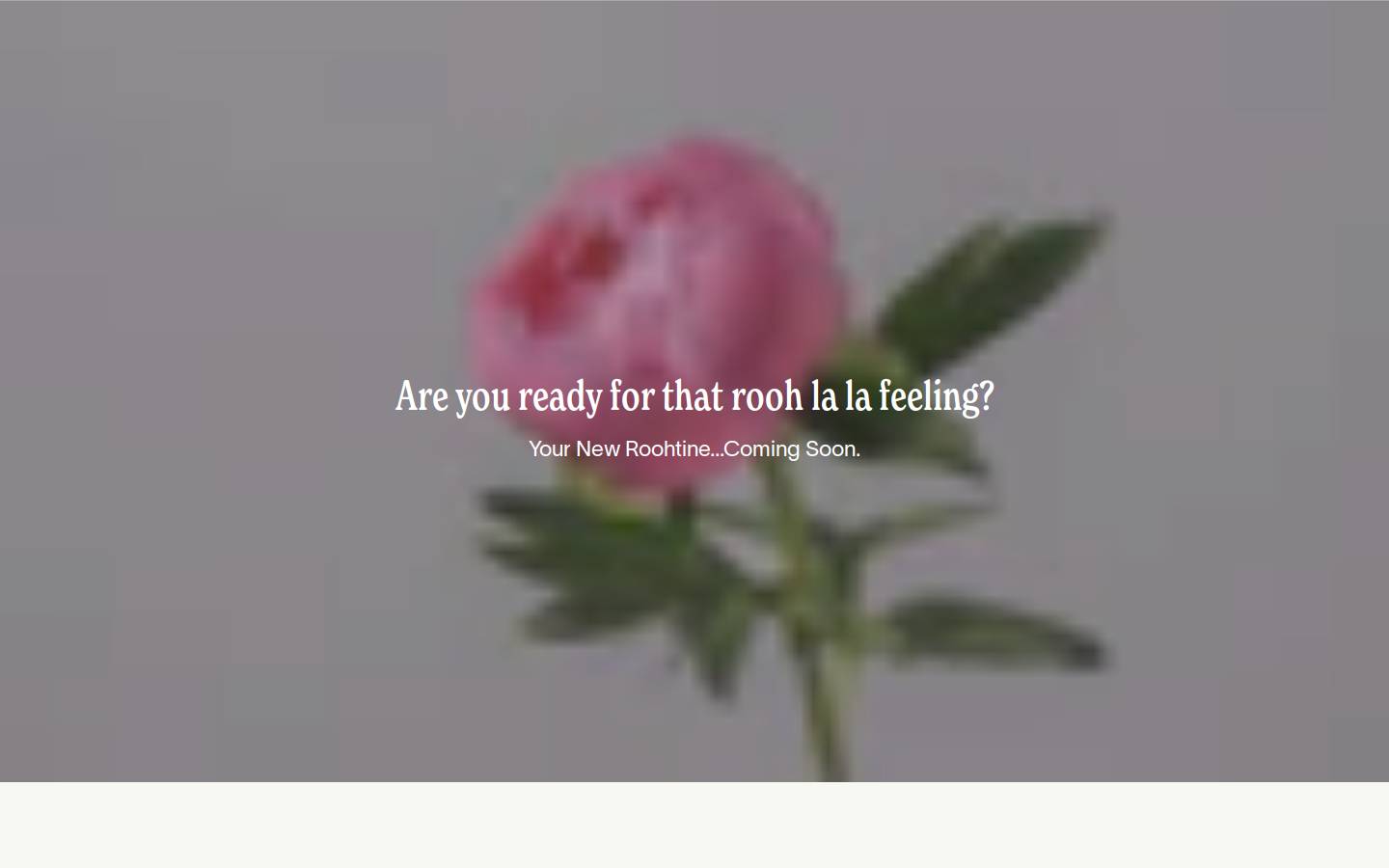 roohtine.com homepage screenshot