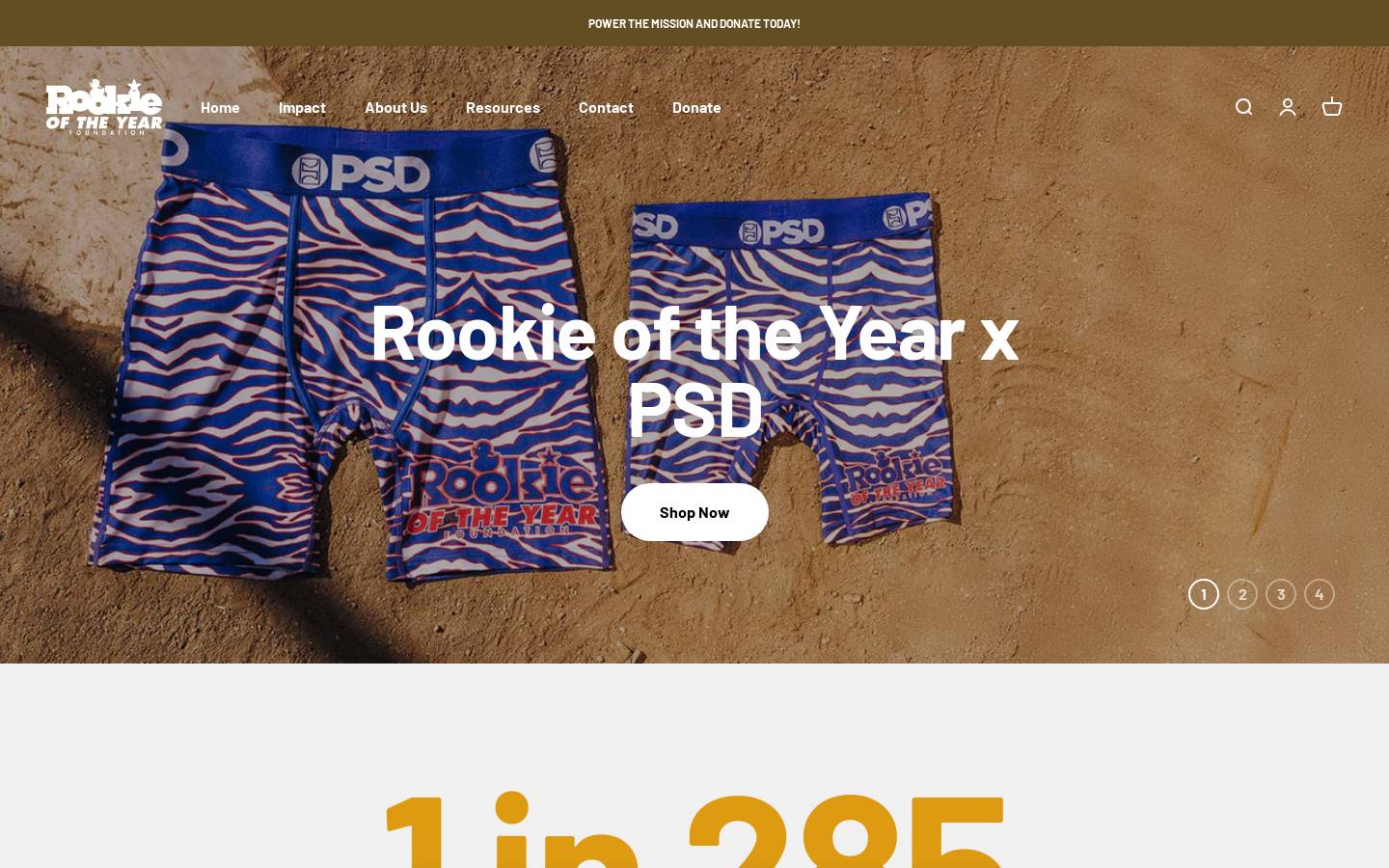 rookieoftheyear.org homepage screenshot