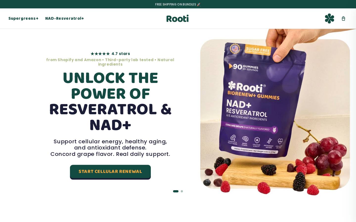 rooti.co homepage screenshot