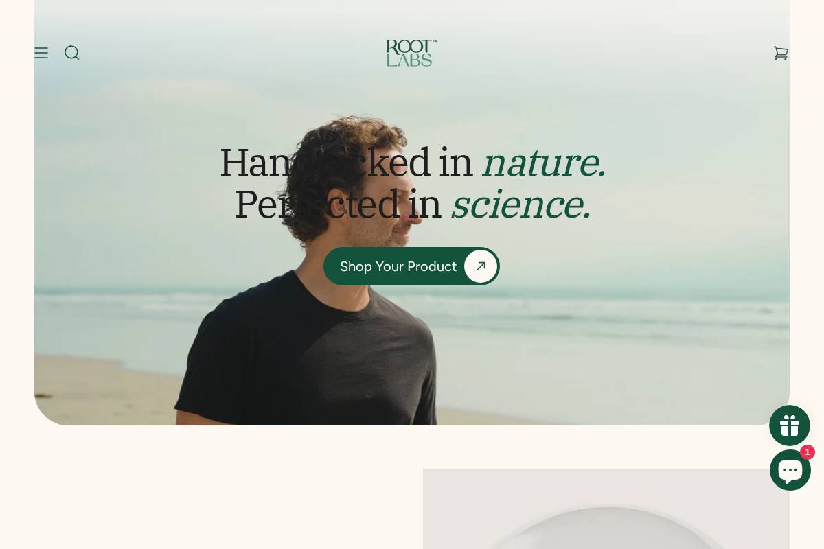 rootlabs.co homepage screenshot