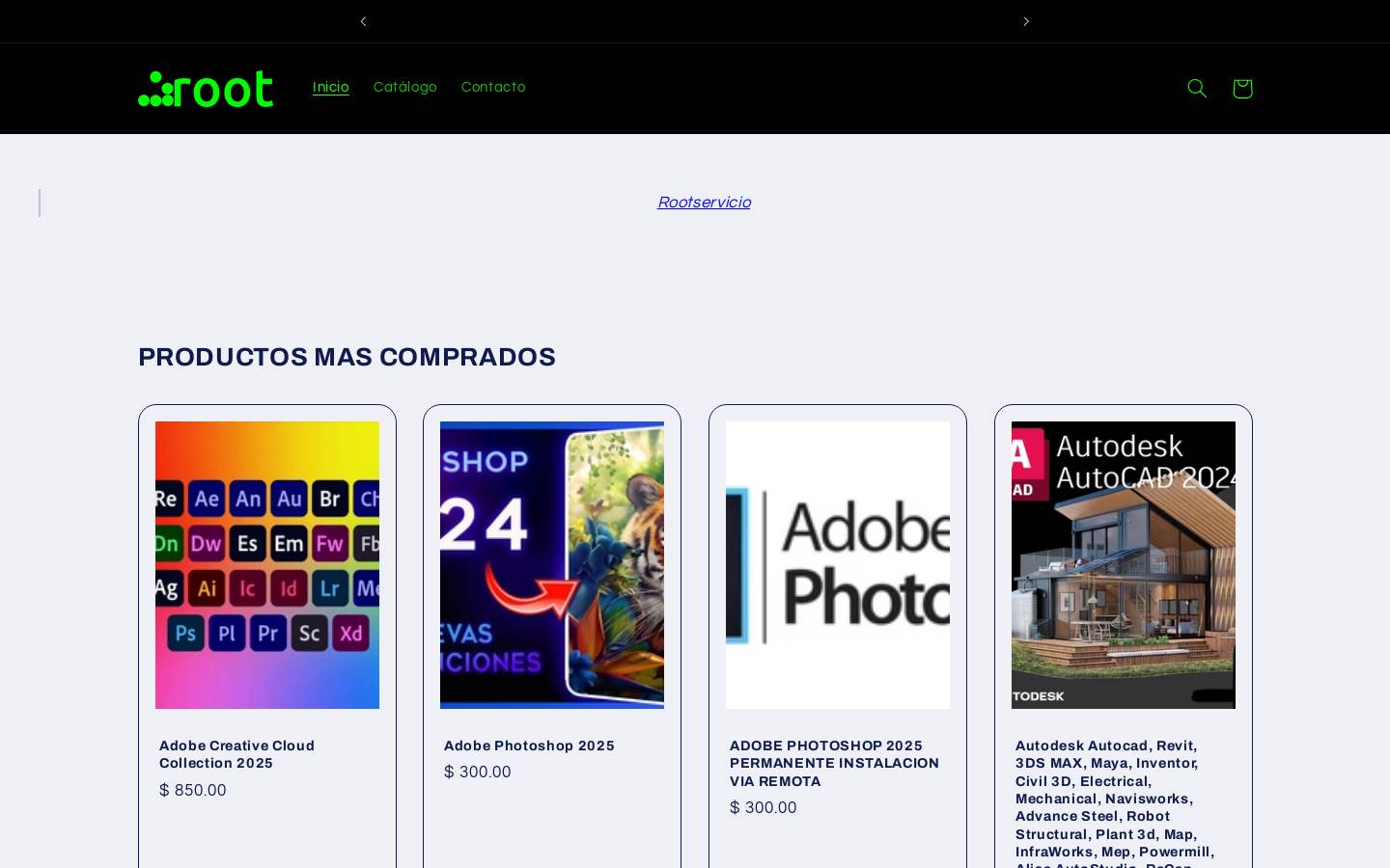 rootservicio.com homepage screenshot