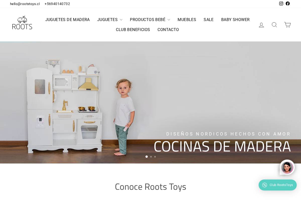 rootstoys.cl homepage screenshot