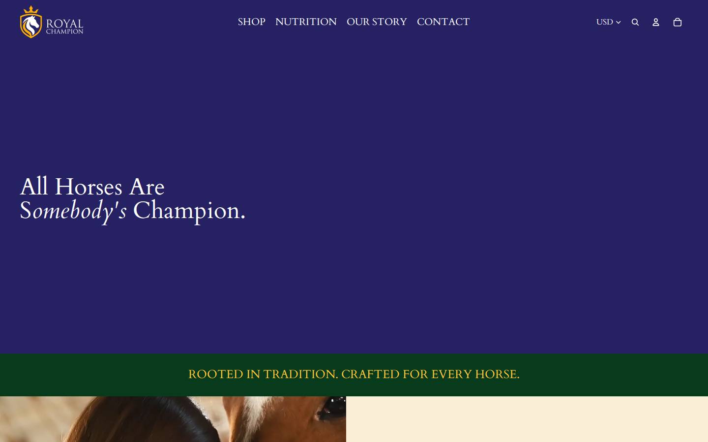 royalchampion.com homepage screenshot