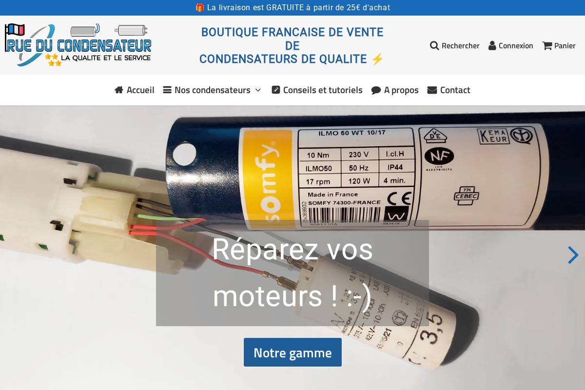 rue-du-condensateur.com homepage screenshot