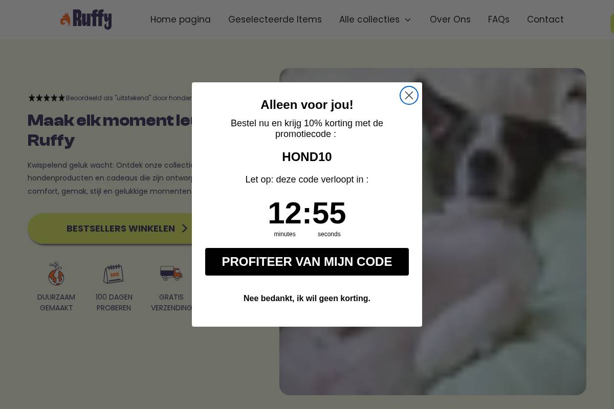 Ruffy homepage screenshot