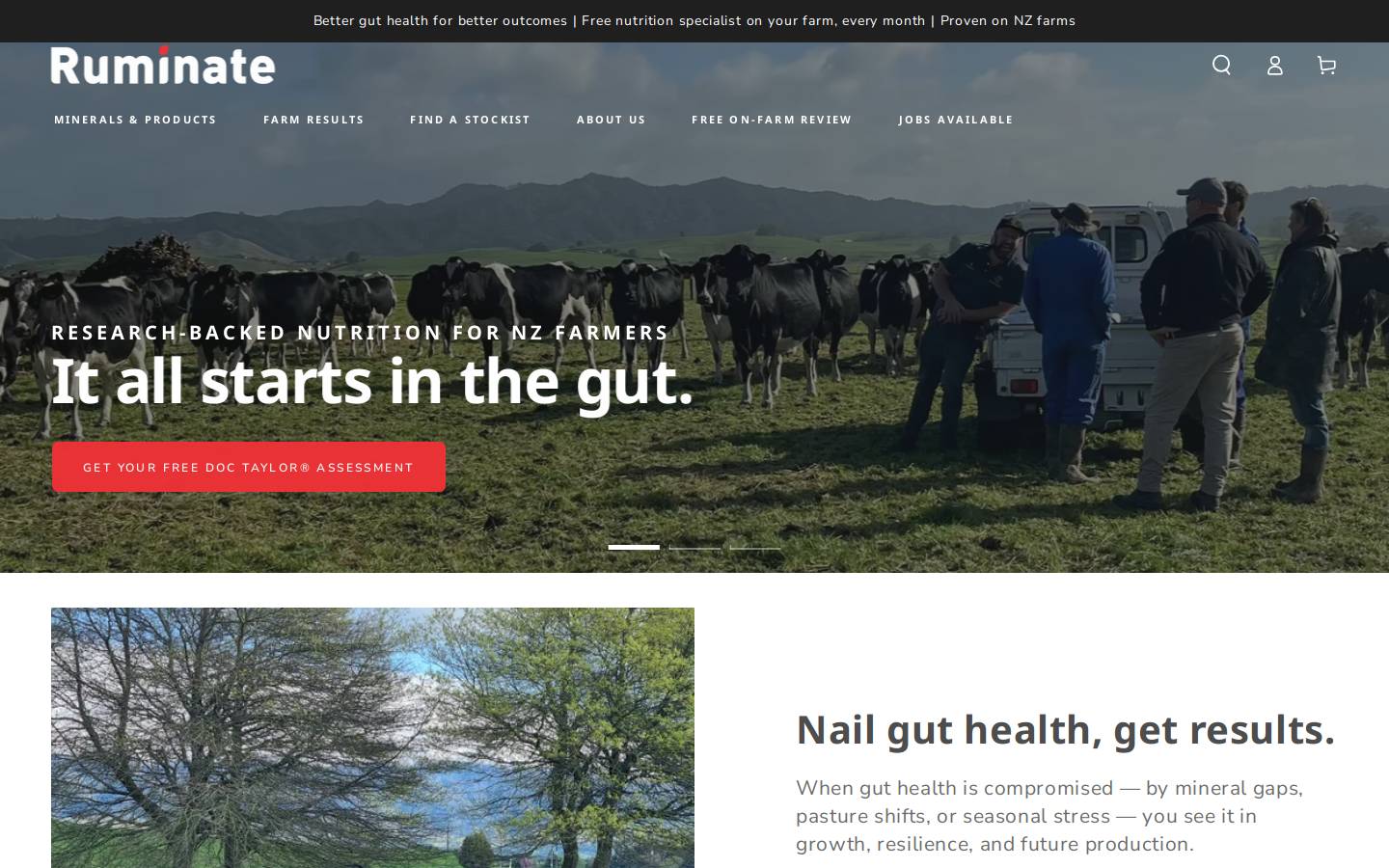 ruminate.nz homepage screenshot
