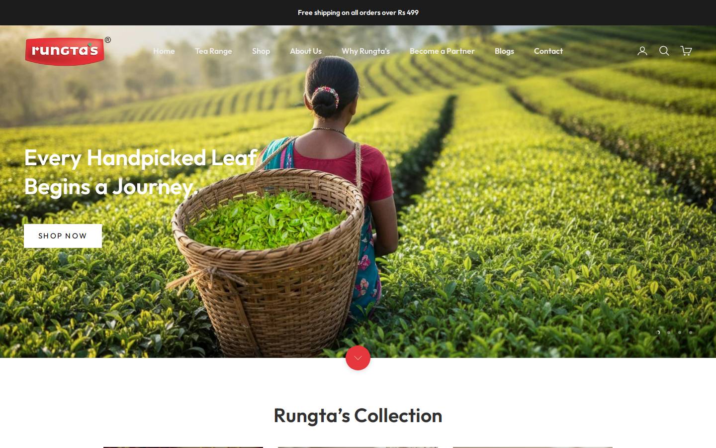 rungtatea.in homepage screenshot