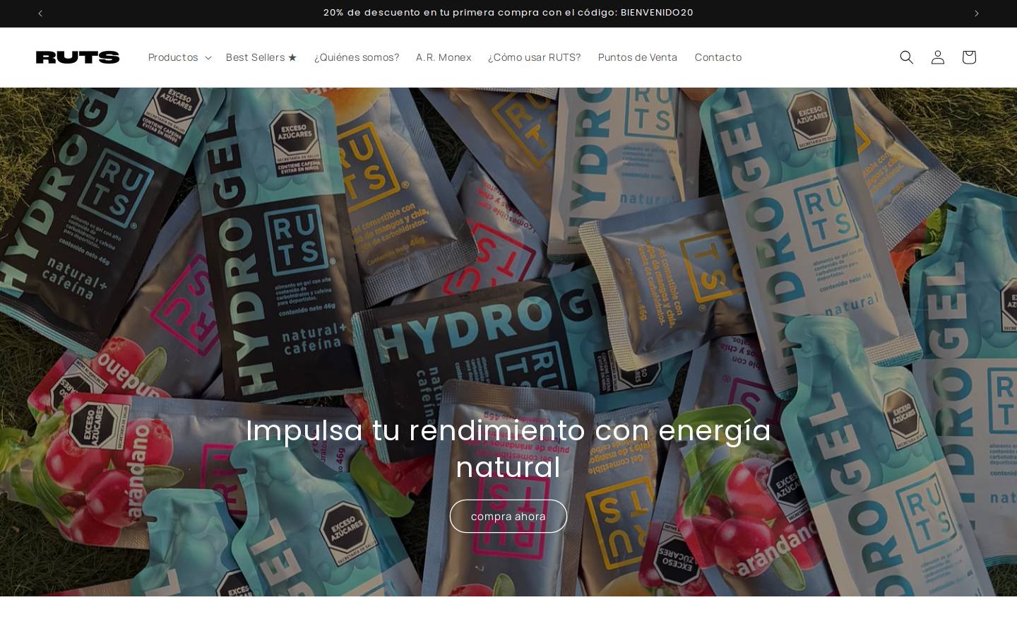 ruts.mx homepage screenshot