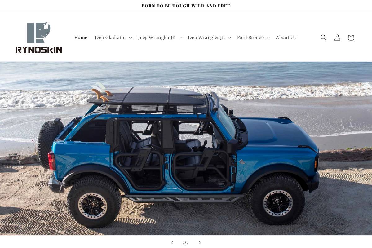 rynoskinauto.com homepage screenshot