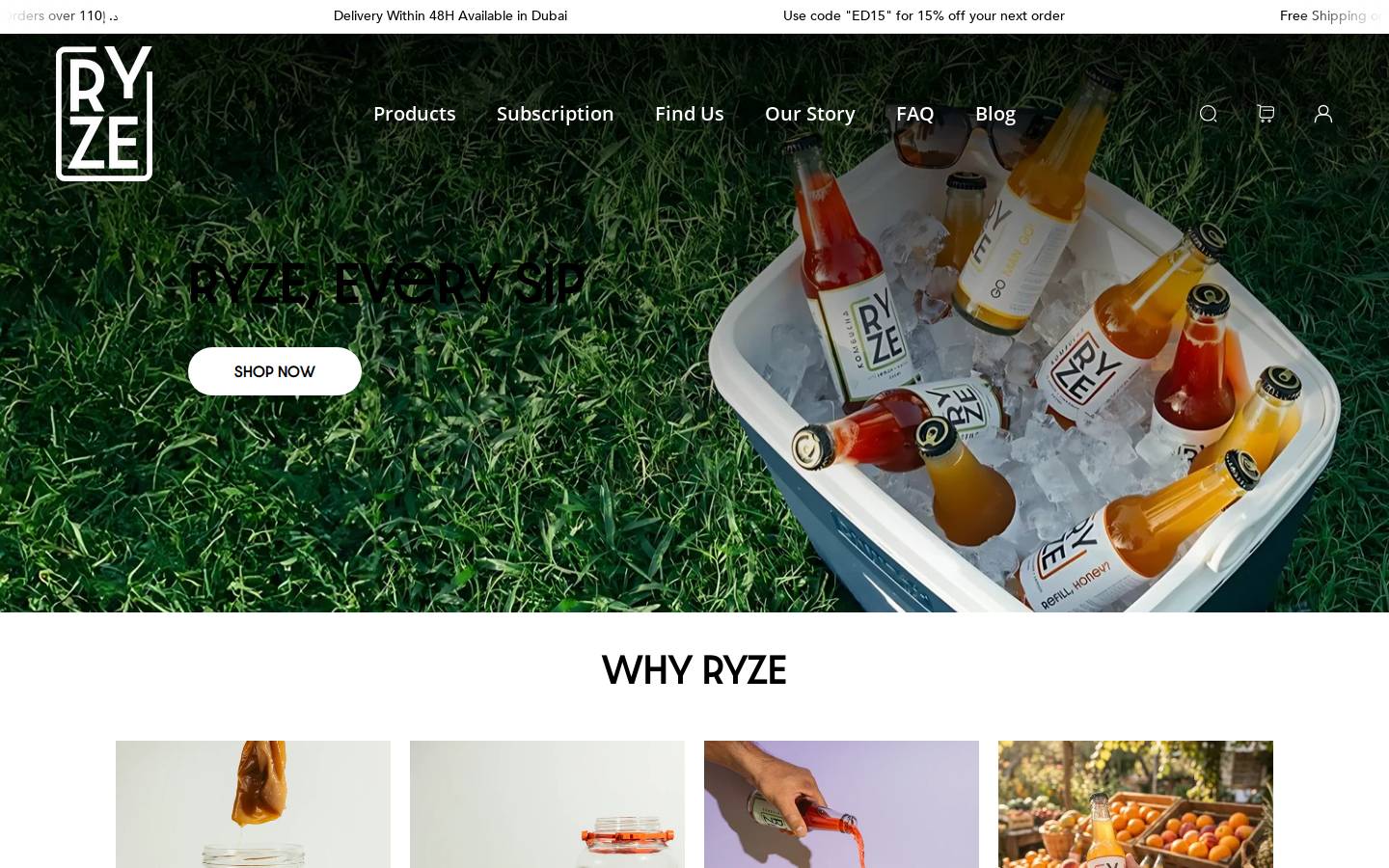 ryzeae.com homepage screenshot
