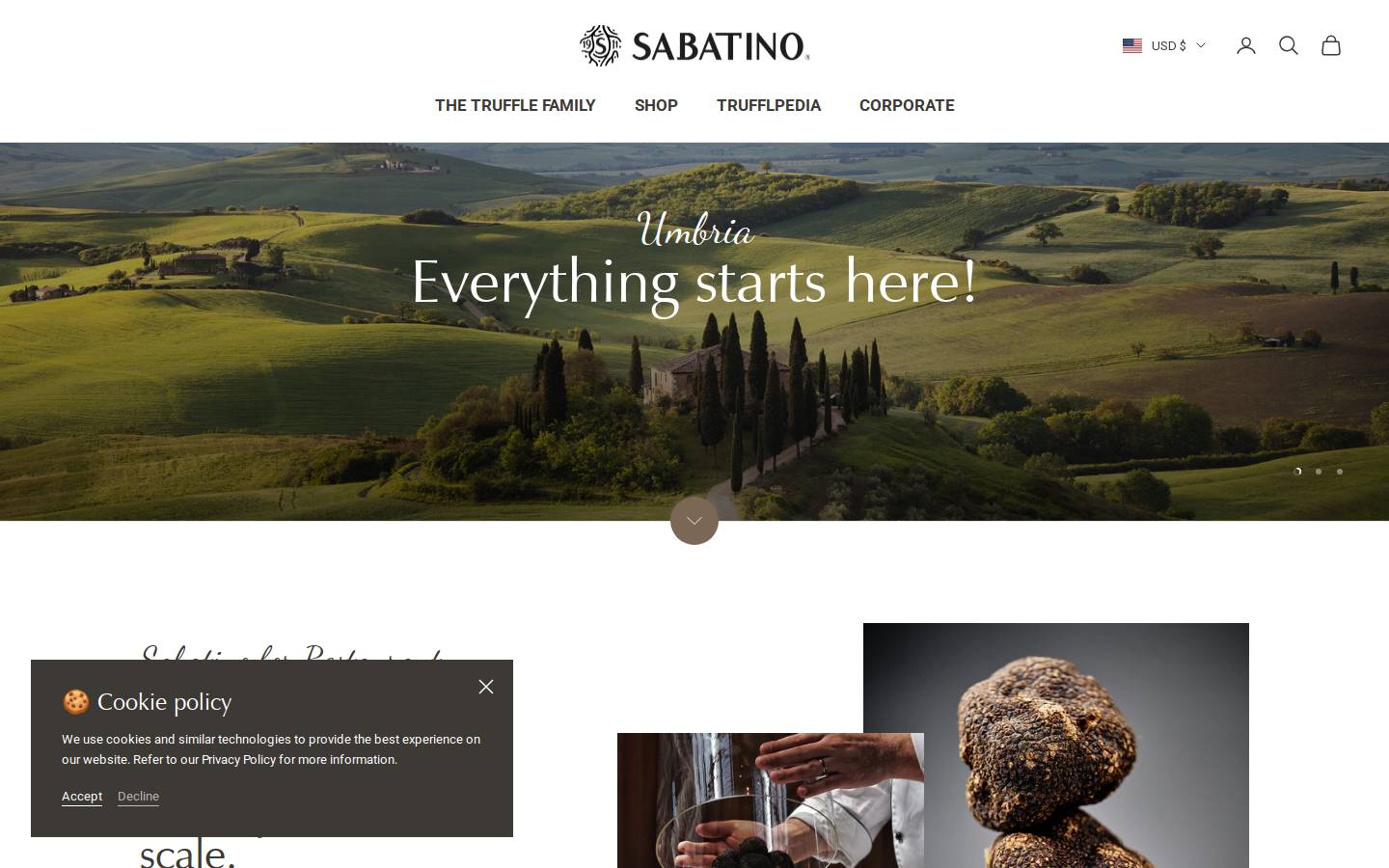 sabatinostore.com homepage screenshot