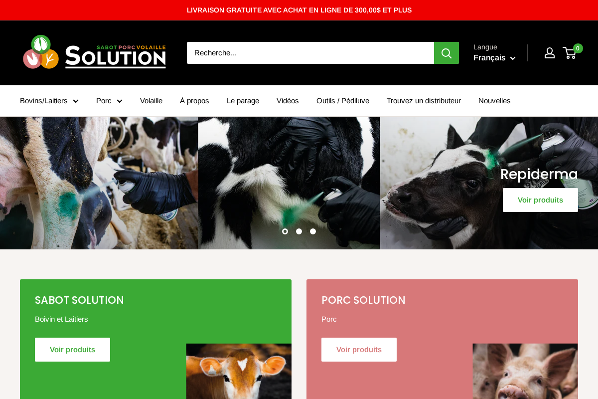 Sabot Solution Inc. homepage screenshot