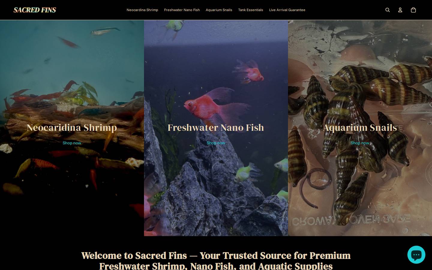 sacredfins.com homepage screenshot