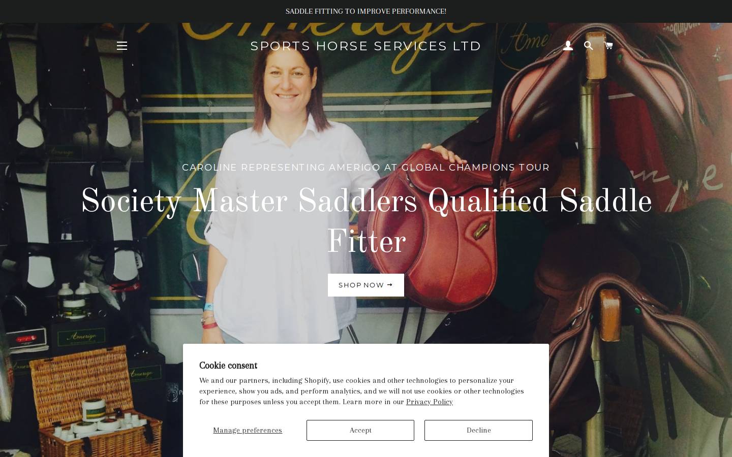 saddle-fitter.co.uk homepage screenshot